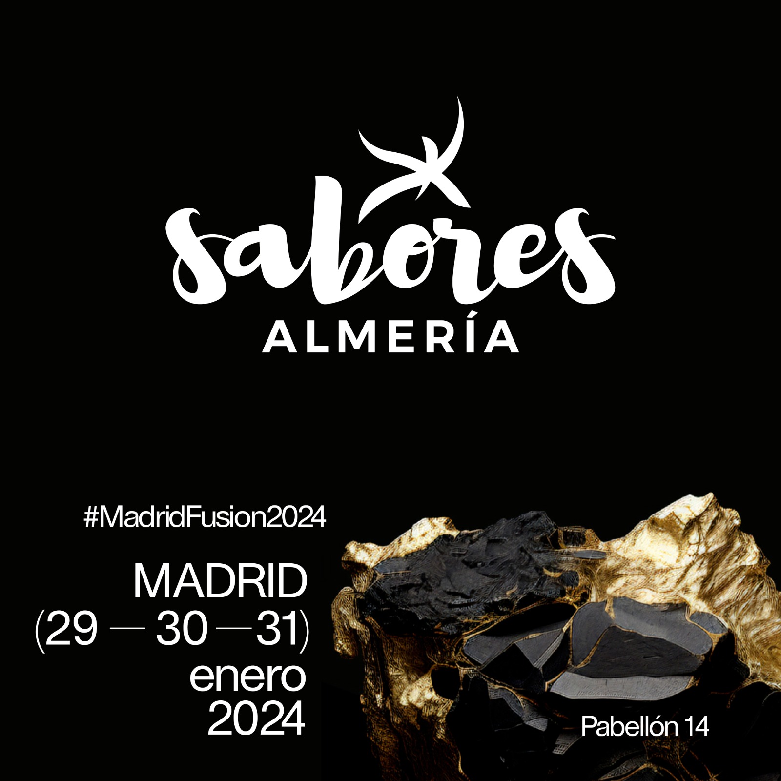 madrid fusion 2024