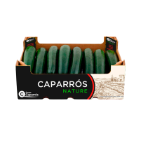 CALABACÍN