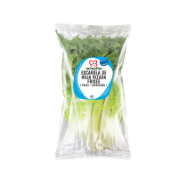 ESCAROLA FRISE
