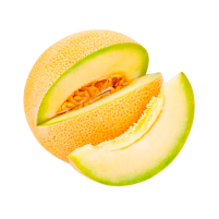 MELÓN GALIA