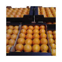 NARANJA ECOLÓGICA