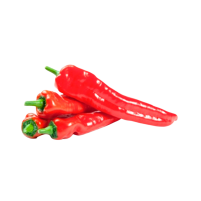 PIMIENTO PALERMO
