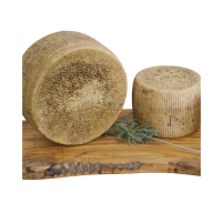 QUESO SEMICURADO