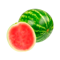 SANDIA MINI