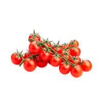 TOMATE CHERRY RAMA