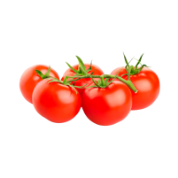 TOMATE RAMA