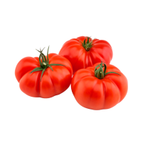 TOMATE REBELIÓN