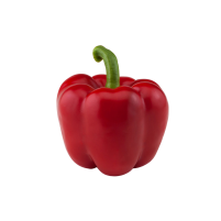PIMIENTO