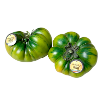 TOMATE RAF