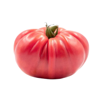 tomate rosa