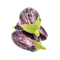 Berenjena 