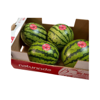 Sandia