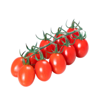 Tomate cherry pera rama