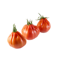 Tomate corazon de buey