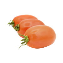Tomate 