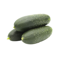pepino español