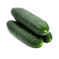 pepino frances