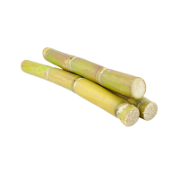 cañaDeAzucar