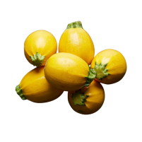 calabacinRedondoAmarillo