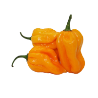 habaneroAmarillo