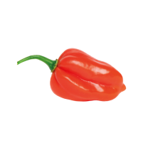 habaneroRojo