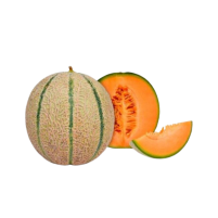 melonCantaloup