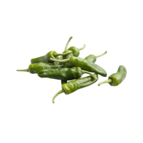 pimientoTipoPadron