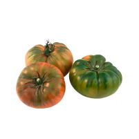 tomateRaf