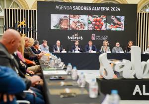 hoja de ruta para sabores almería 2024