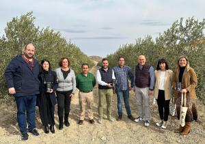 visita oleo jarico