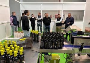 sabores almeria oleo almazora