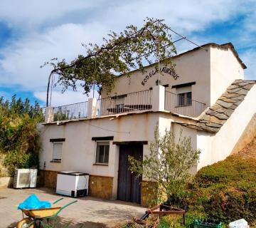 bodega lauricius 1