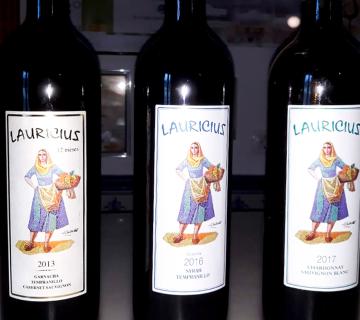 bodega lauricius 3