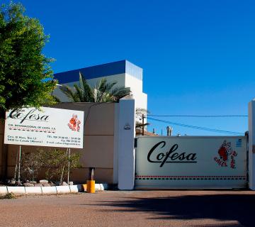 cofesa entrada