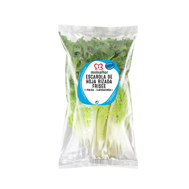 ESCAROLA FRISE