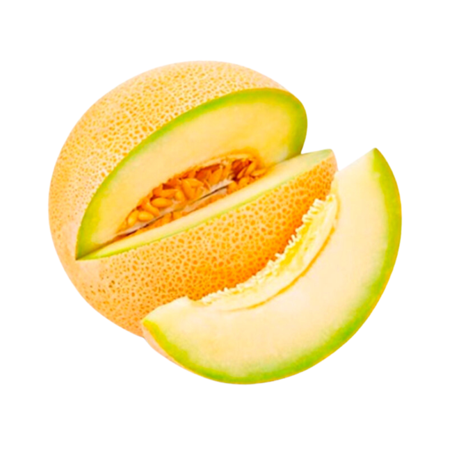 MELÓN GALIA