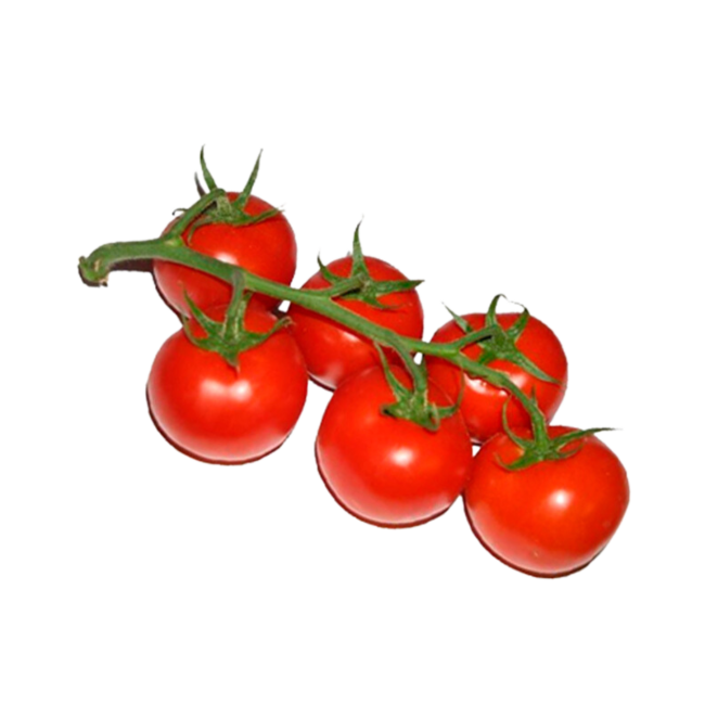 TOMATE COCKTAIL RAMA
