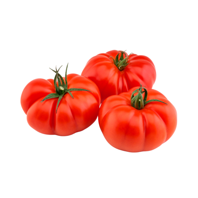 TOMATE REBELIÓN