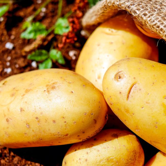 gachas-papas
