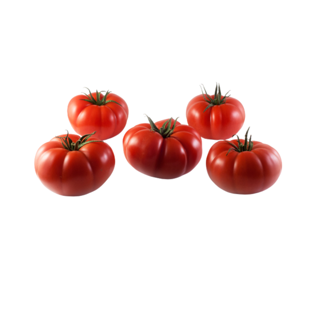 Tomate rebelion