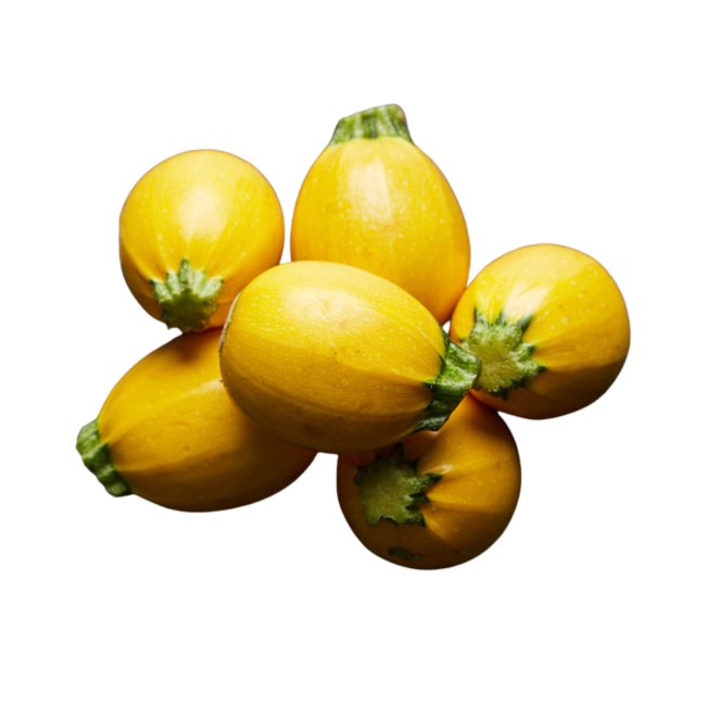 calabacinRedondoAmarillo