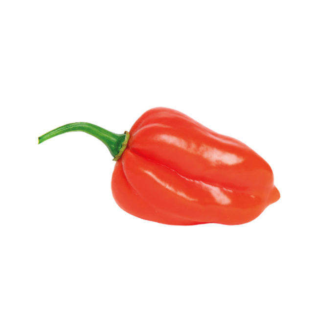 habaneroRojo