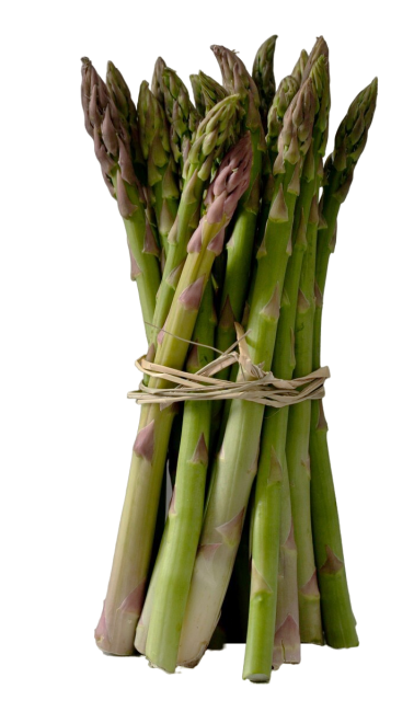 Espárragos verdes producidos por la empresa PEREGRIN