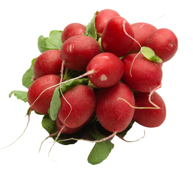 Rabanitos empresa PEREGRIN