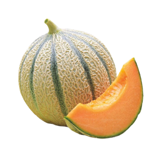 melón cantaloup